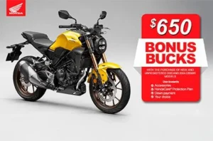 Read more about the article Bonus Bucksv