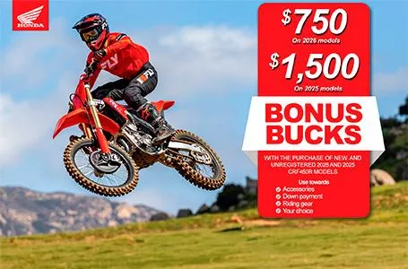 Read more about the article Bonus Bucks