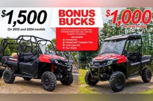 Read more about the article Bonus Bucks