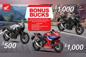 Read more about the article Bonus Bucks
